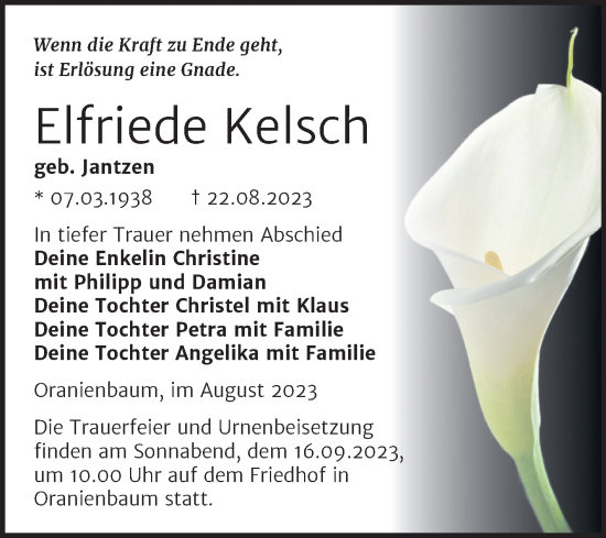 Traueranzeige von Elfriede Kelsch von Trauerkombi Wittenberg