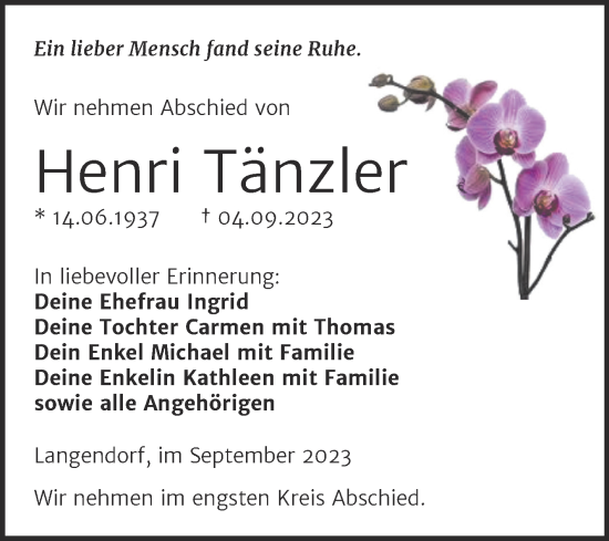 Traueranzeige von Henri Tänzler von Trauerkombi Weißenfels