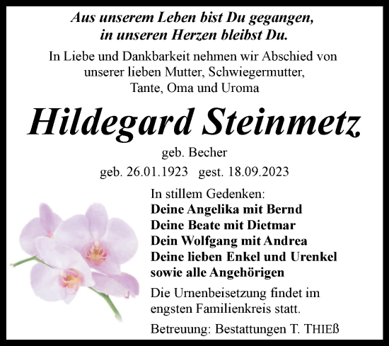 Traueranzeige von Hildegard Steinmetz von Volksstimme Wernigerode