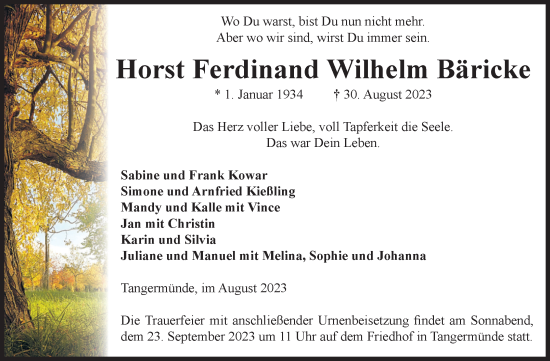Traueranzeige von Horst Ferdinand Wilhelm Bäricke von Volksstimme Altmark Ost