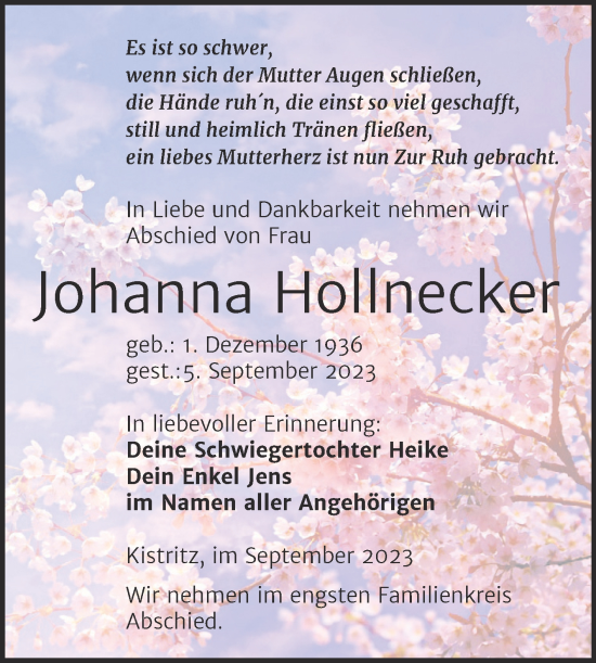 Traueranzeige von Johanna Hollnecker von Trauerkombi Weißenfels