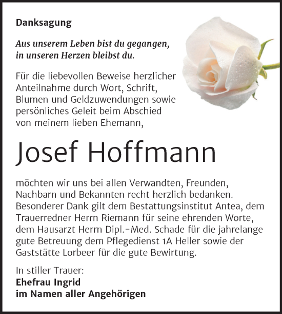 Traueranzeige von Josef Hoffmann von Trauerkombi Weißenfels