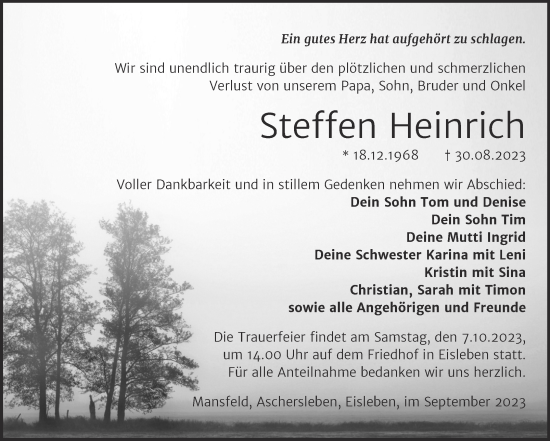Traueranzeige von Steffen Heinrich von Trauerkombi Mansfelder Land