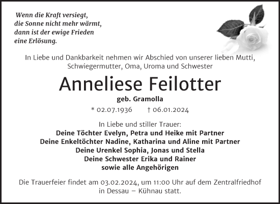 Traueranzeige von Anneliese Feilotter von Trauerkombi Dessau