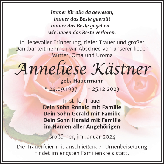 Traueranzeige von Anneliese Kästner von Trauerkombi Mansfelder Land