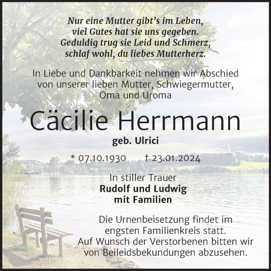 Traueranzeige von Cäcilie Herrmann von Trauerkombi Zeitz