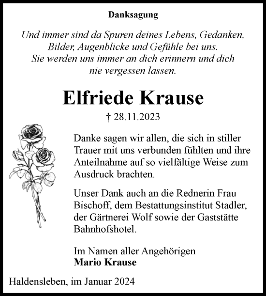 Traueranzeige von Elfriede Krause von Volksstimme Haldensleben/Wolmirstedt