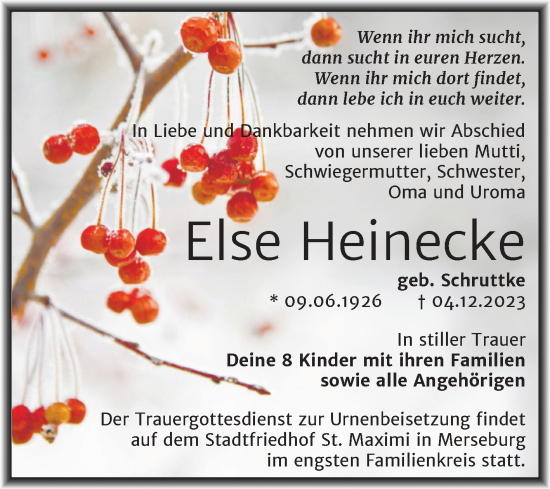 Traueranzeige von Else Heinecke von Trauerkombi Merseburg