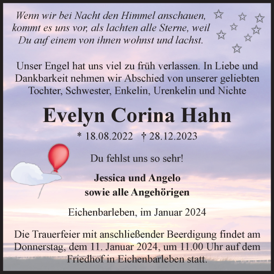 Traueranzeige von Evelyn Corina Hahn von Volksstimme Haldensleben/Wolmirstedt