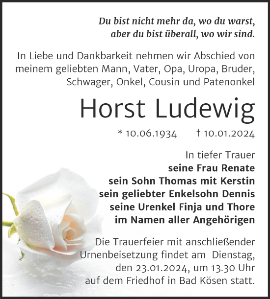 Traueranzeige von Horst Ludewig von Naumburger Tageblatt