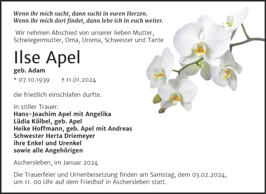Traueranzeige von Ilse Apel von Trauerkombi Aschersleben