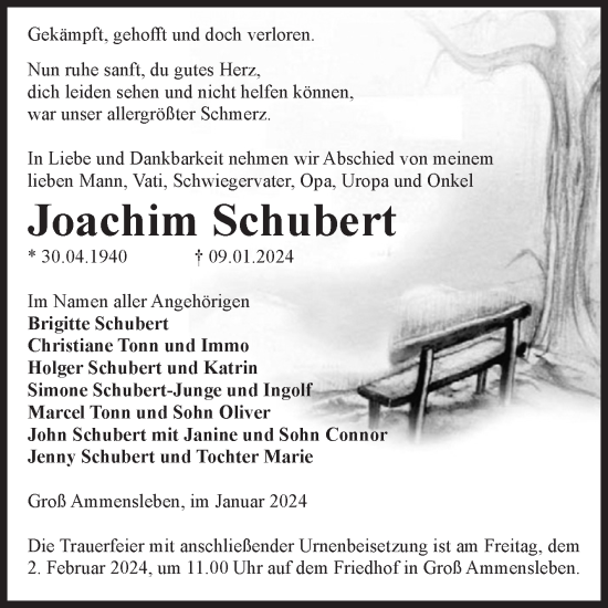 Traueranzeige von Joachim Schubert von Volksstimme Haldensleben/Wolmirstedt
