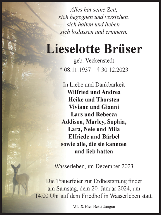 Traueranzeige von Lieselotte Brüser von Volksstimme Wernigerode