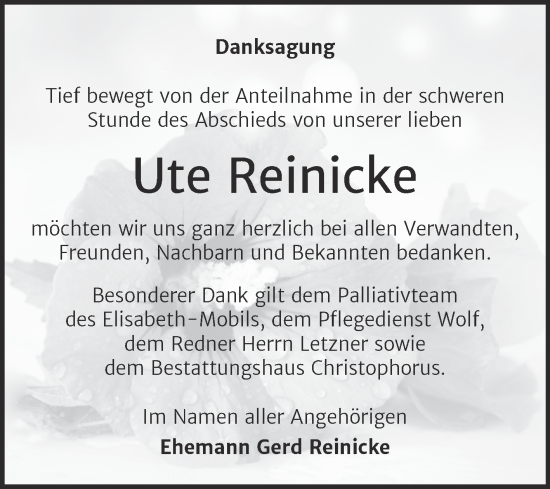Traueranzeige von Ute Reinicke von Mitteldeutsche Zeitung Halle/Saalkreis