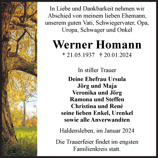 Traueranzeige von Werner Homann von Volksstimme Haldensleben/Wolmirstedt