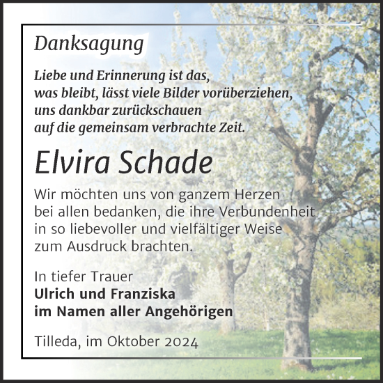 Traueranzeige von Elvira Schade von Trauerkombi Sangerhausen