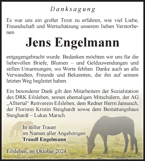 Traueranzeige von Jens Engelmann von Volksstimme Oschersleben/Wanzleben