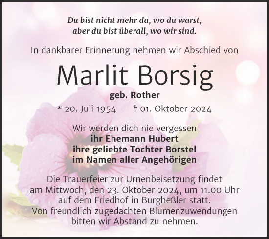 Traueranzeige von Marlit Borsig von Super Sonntag Naumburg/Nebra