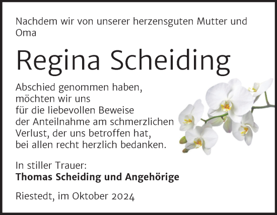 Traueranzeige von Regina Scheiding von Trauerkombi Sangerhausen