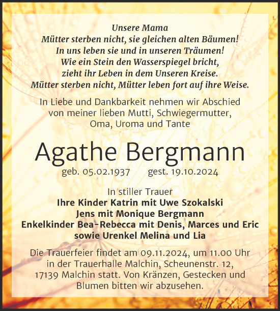 Traueranzeige von Agathe Bergmann von Super Sonntag Naumburg/Nebra