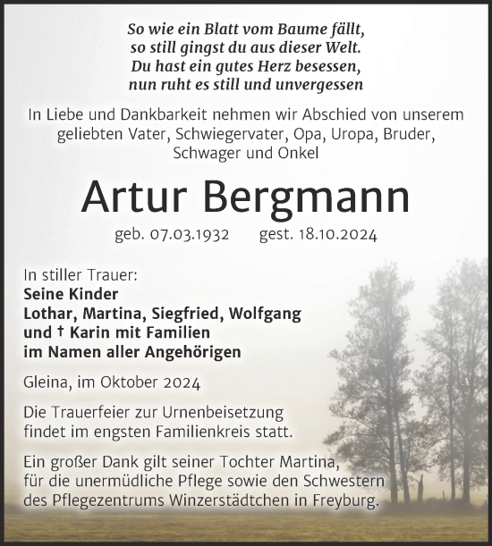 Traueranzeige von Artur Bergmann von Super Sonntag Naumburg/Nebra