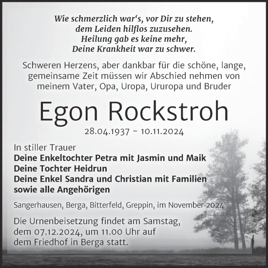 Traueranzeige von Egon Rockstroh von Trauerkombi Sangerhausen