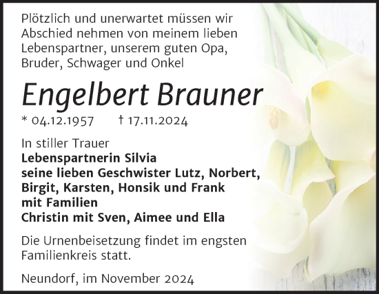 Traueranzeige von Engelbert Brauner 