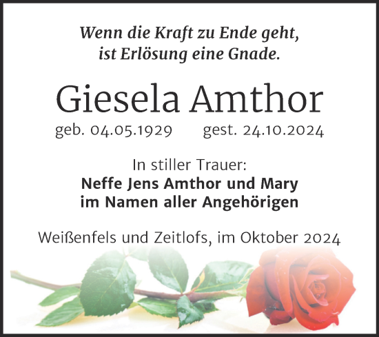 Traueranzeige von Giesela Amthor von Trauerkombi Weißenfels
