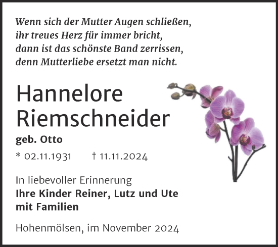 Traueranzeige von Hannelore Riemschneider von Trauerkombi Weißenfels
