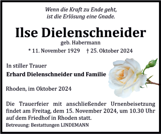 Traueranzeige von Ilse Dielenschneider von Volksstimme Halberstadt
