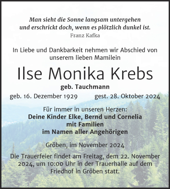 Traueranzeige von Ilse Monika Krebs von Trauerkombi Weißenfels
