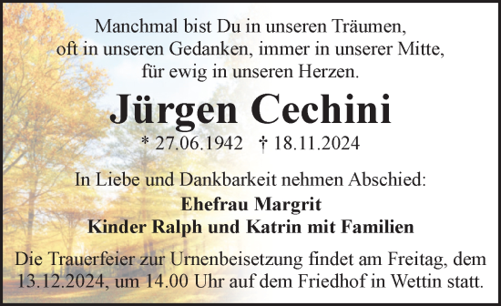 Traueranzeige von Jürgen Cechini von Mitteldeutsche Zeitung Halle/Saalkreis