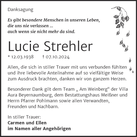 Traueranzeige von Lucie Strehler von Trauerkombi Sangerhausen