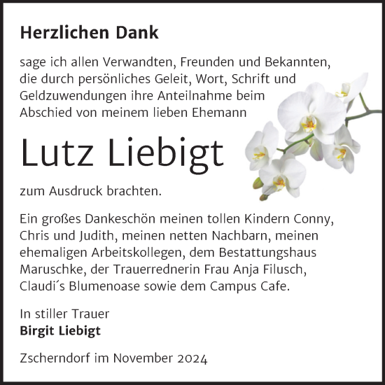 Traueranzeige von Lutz Liebigt von Trauerkombi Bitterfeld