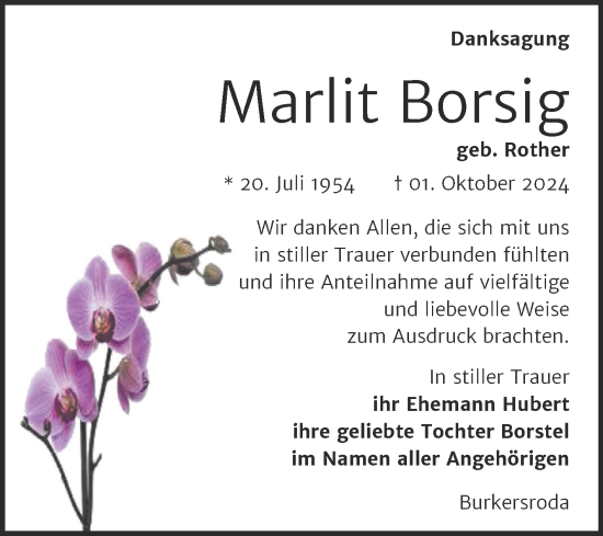 Traueranzeige von Marlit Borsig von Super Sonntag Naumburg/Nebra