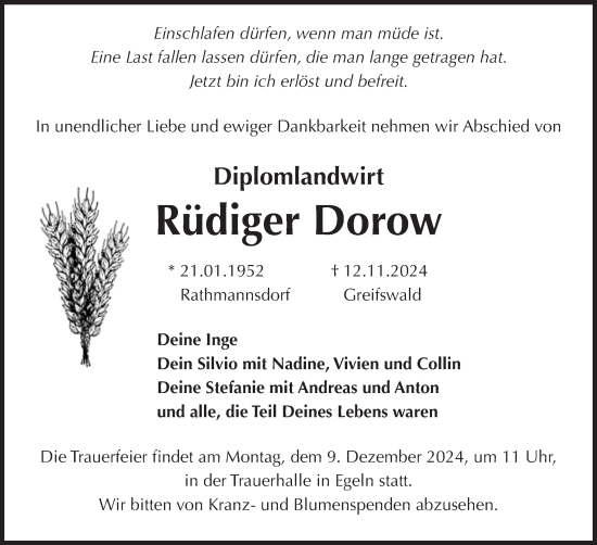 Traueranzeige von Rüdiger Dorow von Volksstimme Staßfurt