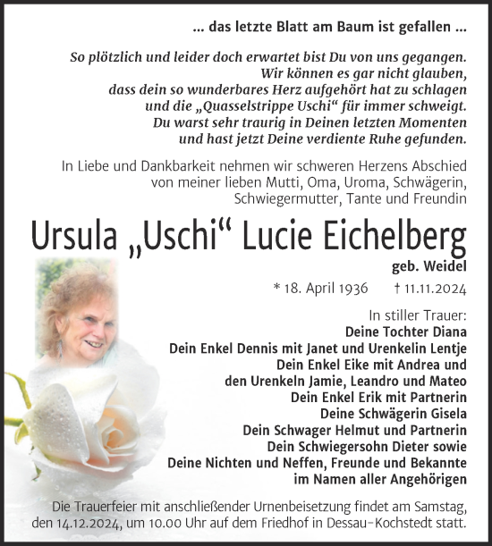 Traueranzeige von Ursula Lucie Eichelberg von Trauerkombi Dessau
