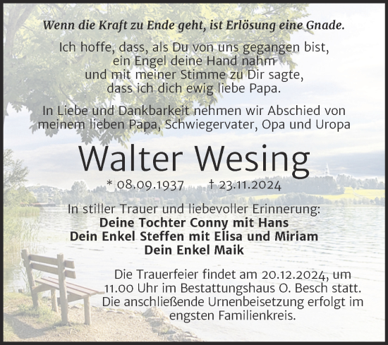 Traueranzeige von Walter Wesing von Trauerkombi Dessau