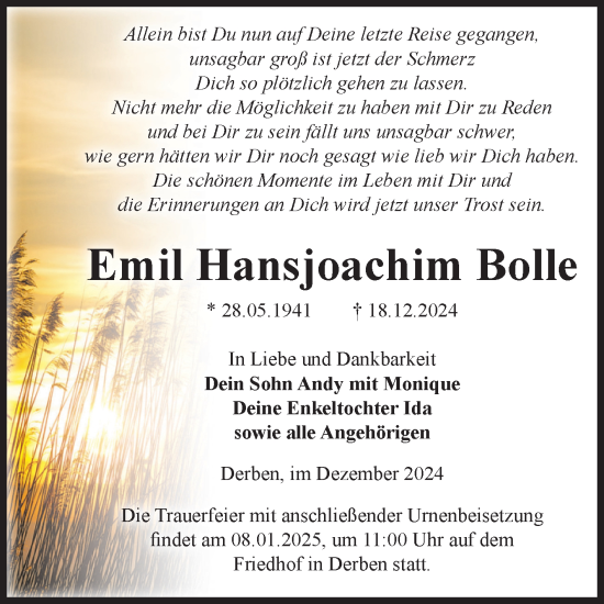 Traueranzeige von Emil Hansjoachim Bolle von Volksstimme Burg/Genthin