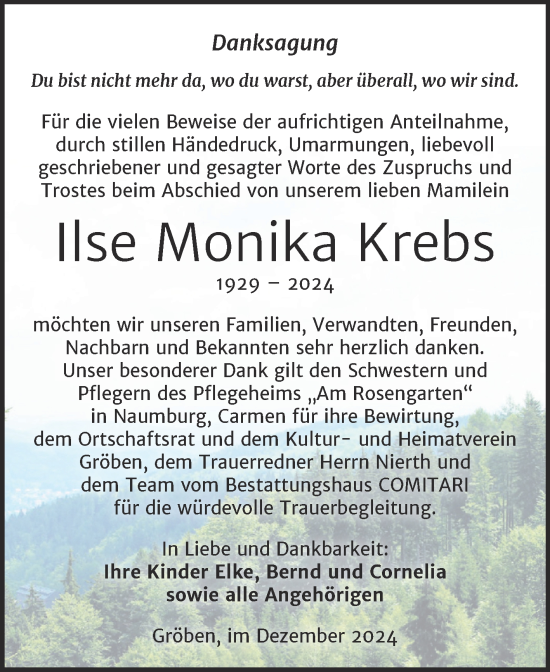 Traueranzeige von Ilse Monika Krebs von Trauerkombi Weißenfels