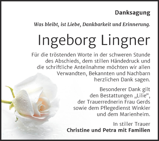 Traueranzeige von Ingeborg Lingner von Trauerkombi Dessau