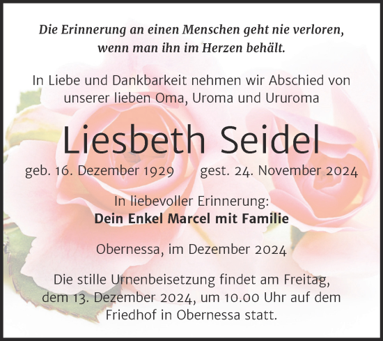 Traueranzeige von Liesbeth Seidel von Trauerkombi Weißenfels