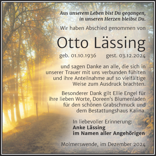 Traueranzeige von Otto Lässing von Trauerkombi Mansfelder Land