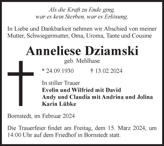 Traueranzeige von Anneliese Dziamski von Volksstimme Haldensleben/Wolmirstedt
