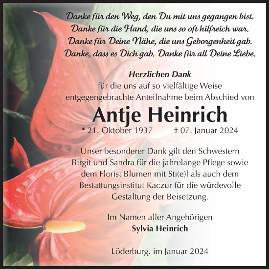 Traueranzeige von Antje Heinrich von Volksstimme Staßfurt