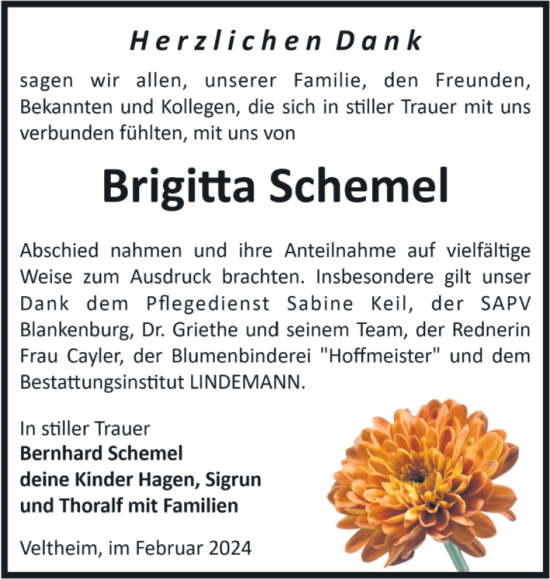 Traueranzeige von Brigitta Schemel von Volksstimme Halberstadt
