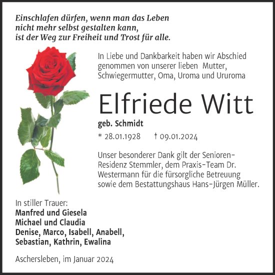 Traueranzeige von Elfriede Witt von Trauerkombi Aschersleben
