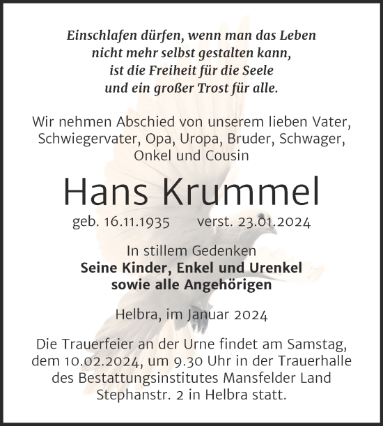 Traueranzeige von Hans Krummel von Trauerkombi Mansfelder Land