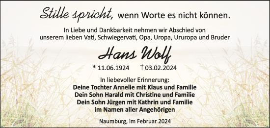Traueranzeige von Hans Wolf von Naumburger Tageblatt