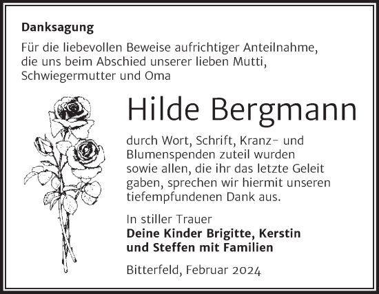 Traueranzeige von Hilde Bergmann von Trauerkombi Bitterfeld